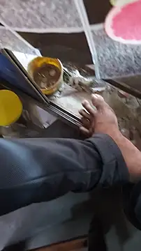 sambooxx online show from October 2, 2025, 4:08 am