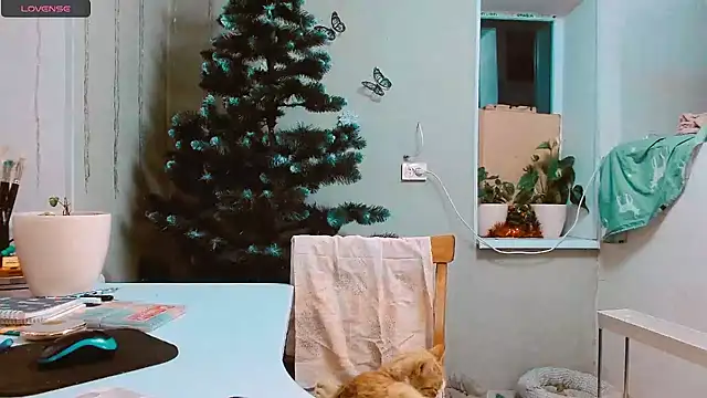 Snapshot of RosaJil chatting on December 17, 2024, 3:06 pm RosaJil online show from December 17, 2024, 3:06 pm