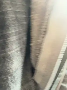 Snapshot of Followthepiper chatting on March 20, 2025, 7:35 pm Followthepiper online show from March 20, 2025, 7:35 pm