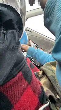 Snapshot of Followthepiper chatting on March 22, 2025, 3:42 pm Followthepiper online show from March 22, 2025, 3:42 pm