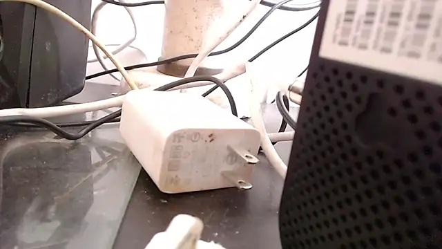 Snapshot of bardotbigcockts chatting on September 25, 2025, 8:01 pm bardotbigcockts online show from September 25, 2025, 8:01 pm