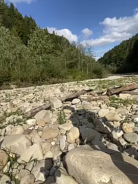 Snapshot of artXhibitor chatting on September 29, 2025, 1:16 pm artXhibitor online show from September 29, 2025, 1:16 pm