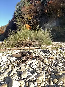 Snapshot of artXhibitor chatting on October 18, 2025, 2:29 pm artXhibitor online show from October 18, 2025, 2:29 pm