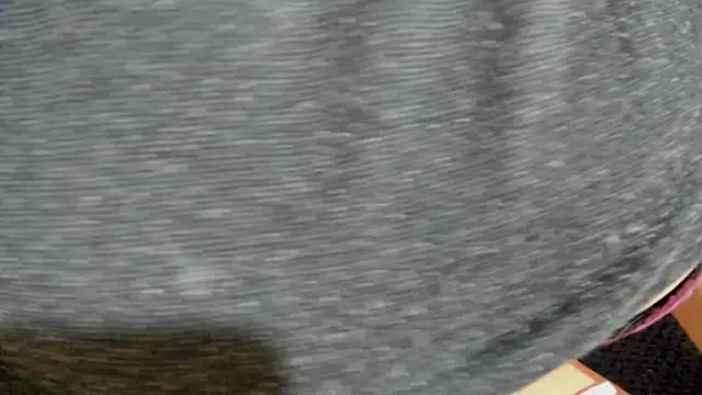 Cloee66 online show from February 5, 2025, 7:42 pm