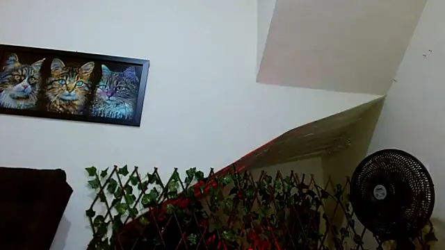 lady scarlettt online show from February 23, 2025, 4:39 am