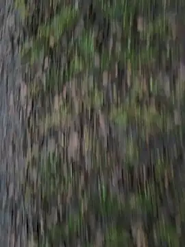 Przystojniak77 online show from December 20, 2025, 2:24 pm