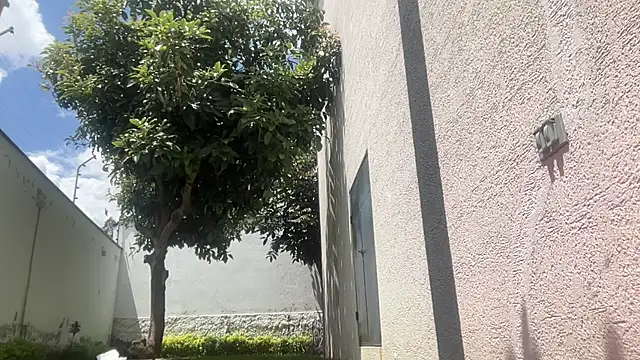 Snapshot of ChocolateCakeQueen chatting on November 11, 2025, 4:40 pm ChocolateCakeQueen online show from November 11, 2025, 4:40 pm