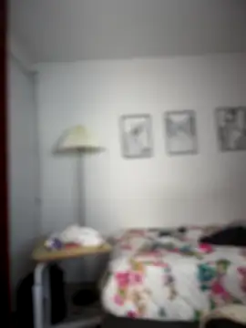 Snapshot of horny_roomiess chatting on November 25, 2025, 11:49 pm horny roomiess online show from November 25, 2025, 11:49 pm