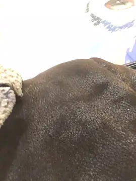 ChantalXOrchid online show from January 23, 2025, 6:56 pm