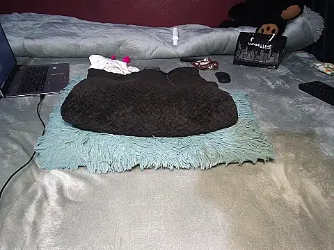 Snapshot of Finito_cutie chatting on November 6, 2025, 6:09 pm Finito cutie online show from November 6, 2025, 6:09 pm