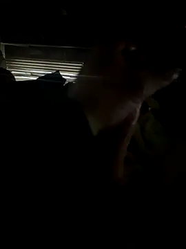 dickemdowncharleybrown online show from December 17, 2025, 3:51 pm