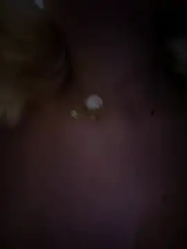 Enyeld ruru online show from February 2, 2025, 12:09 am