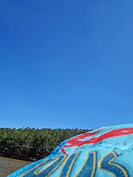 Dixiefaye Pika online show from March 18, 2025, 8:15 pm