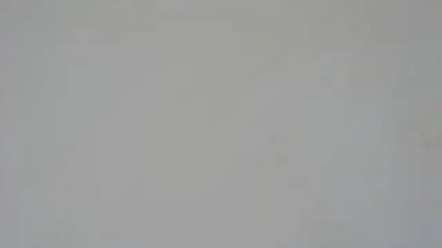 Snapshot of GiseleReine chatting on February 5, 2025, 1:33 pm GiseleReine online show from February 5, 2025, 1:33 pm