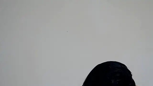 Snapshot of GiseleReine chatting on February 7, 2025, 2:04 pm GiseleReine online show from February 7, 2025, 2:04 pm