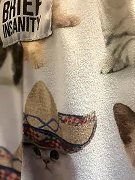 SexyB214 online show from November 15, 2025, 3:30 pm