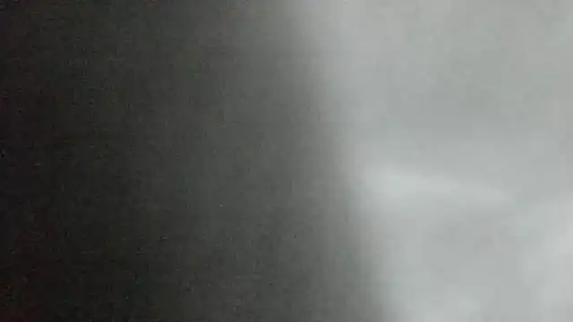 canela wet online show from February 2, 2025, 1:19 pm