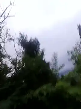 maleesa online show from October 1, 2025, 5:13 am