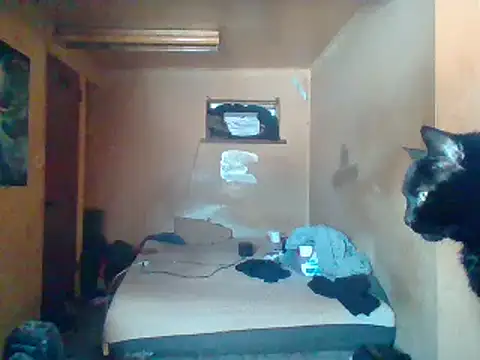 Nightshade7712 online show from February 4, 2025, 5:55 pm