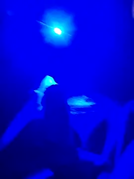 Snapshot of prcalek19 chatting on November 20, 2025, 7:46 pm prcalek19 online show from November 20, 2025, 7:46 pm