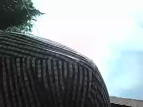 Javan  online show from January 15, 2025, 8:41 am