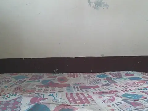 triangle0623 online show from November 3, 2025, 8:37 am