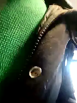 BZHsex online show from March 9, 2025, 5:28 pm