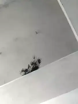 Mafiya1604 online show from October 22, 2025, 5:30 am