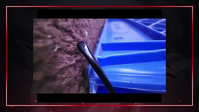 AriellaTaylor online show from December 11, 2024, 4:42 pm