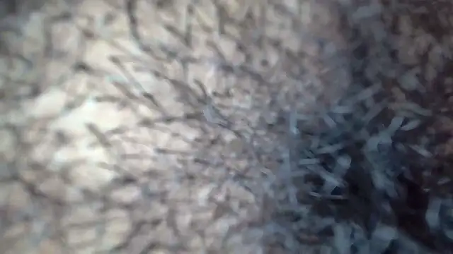 Snapshot of white_sexy_ chatting on November 29, 2025, 11:41 pm white sexy online show from November 29, 2025, 11:41 pm