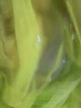 Snapshot of joya_bhabi chatting on November 3, 2025, 2:29 pm joya bhabi online show from November 3, 2025, 2:29 pm