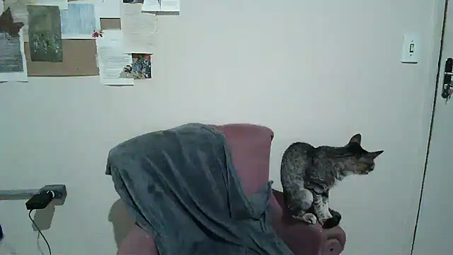 bbyedarling online show from November 6, 2025, 1:50 am