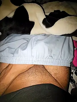 Snapshot of Ali_rz94 chatting on December 13, 2025, 10:48 pm Ali rz94 online show from December 13, 2025, 10:48 pm