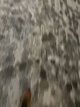 Snapshot of mightgogay chatting on February 28, 2025, 4:54 am mightgogay online show from February 28, 2025, 4:54 am