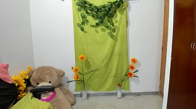 corzoethan online show from February 14, 2025, 2:28 am