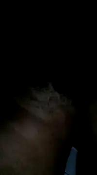 Sergipano fogozinho online show from January 28, 2025, 5:00 am