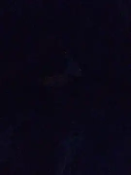 Snapshot of MrDickUdown24_7 chatting on February 23, 2025, 6:39 am MrDickUdown24 7 online show from February 23, 2025, 6:39 am