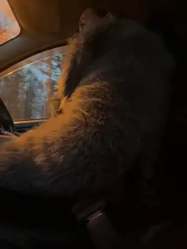 Snapshot of StasyWood chatting on November 27, 2025, 2:02 am StasyWood online show from November 27, 2025, 2:02 am