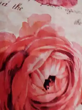 xxcatwomanxx online show from January 31, 2025, 6:03 pm