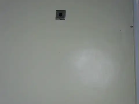 Rasta tattooed online show from November 13, 2025, 12:15 pm