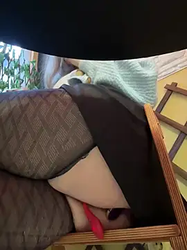 Snapshot of PumaShyXD chatting on December 15, 2024, 10:28 am PumaShyXD online show from December 15, 2024, 10:28 am