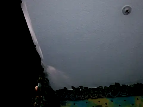 Snapshot of chanel_1041 chatting on January 3, 2025, 9:36 pm chanel 1041 online show from January 3, 2025, 9:36 pm