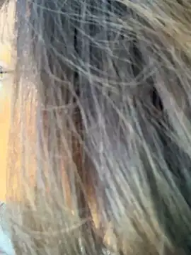 Snapshot of miacanela_xo chatting on October 11, 2025, 10:08 pm miacanela xo online show from October 11, 2025, 10:08 pm