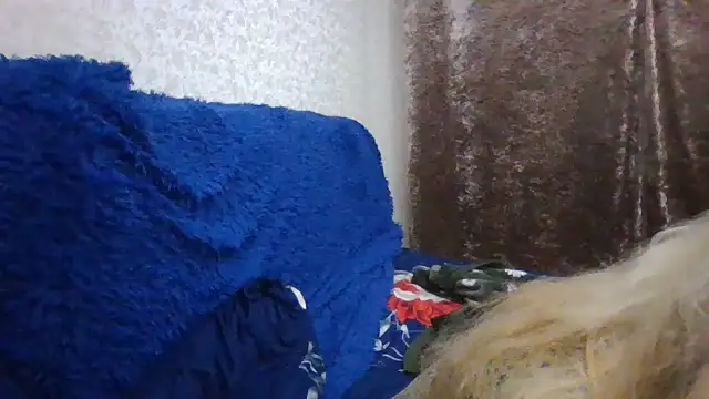 Snapshot of CarlyTreat chatting on November 30, 2025, 4:00 pm CarlyTreat online show from November 30, 2025, 4:00 pm