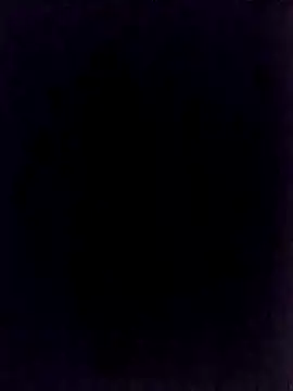 Snapshot of BongChannel chatting on January 1, 2025, 11:40 pm BongChannel online show from January 1, 2025, 11:40 pm