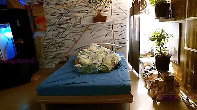 Snapshot of BongChannel chatting on January 2, 2025, 11:52 am BongChannel online show from January 2, 2025, 11:52 am