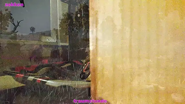 Snapshot of BongChannel chatting on January 21, 2025, 6:43 am BongChannel online show from January 21, 2025, 6:43 am