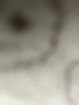 Snapshot of Leyna_liu chatting on January 11, 2025, 3:13 am Leyna liu online show from January 11, 2025, 3:13 am