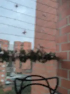 ValerieHilton online show from December 27, 2024, 10:59 pm