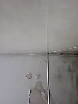 gordito xx online show from January 18, 2025, 6:03 am